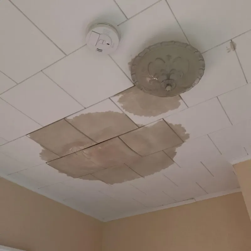 Ceiling Water Damage Repair in Irvington, NY