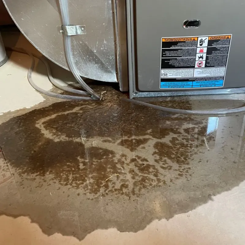 Pipe Burst and Leak Restoration in Irvington, NY